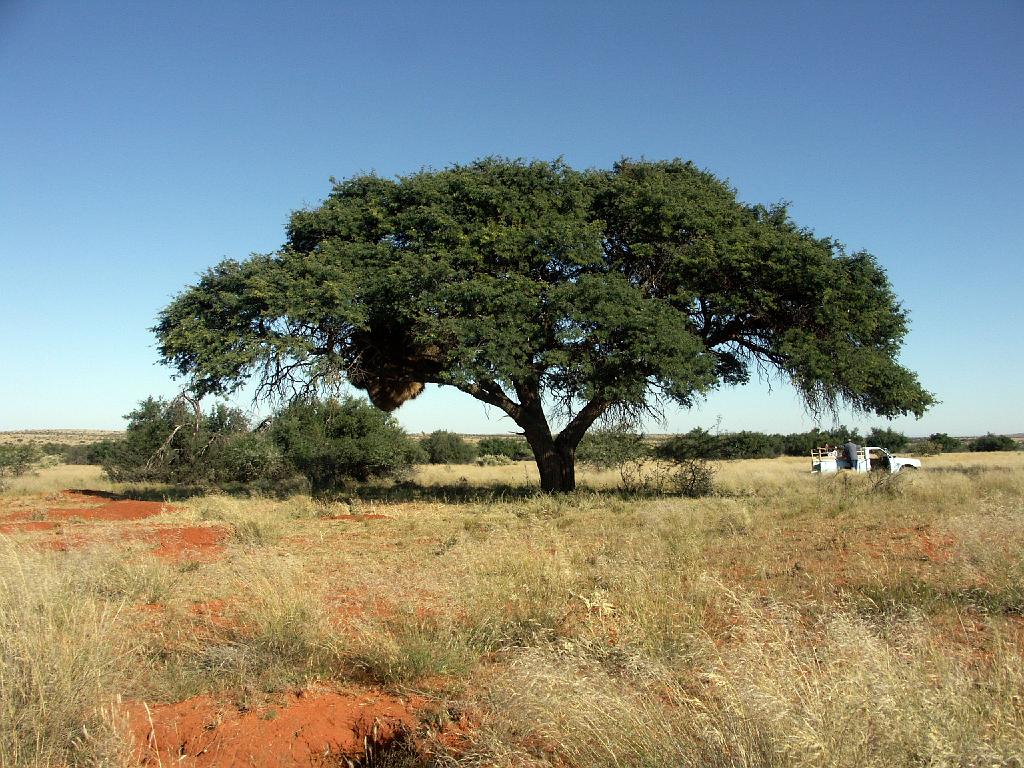 090509_South_Africa 179.jpg